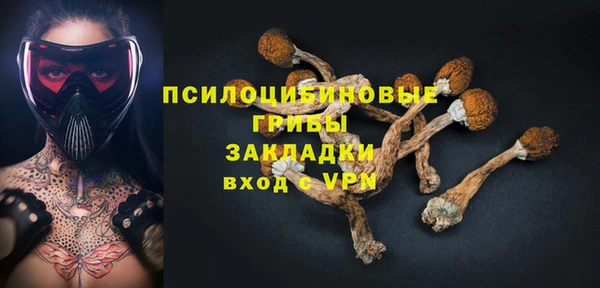 PSILOCYBIN Алзамай