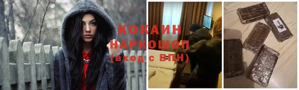 PSILOCYBIN Алзамай
