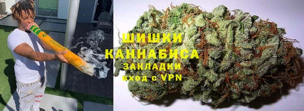 PSILOCYBIN Алзамай