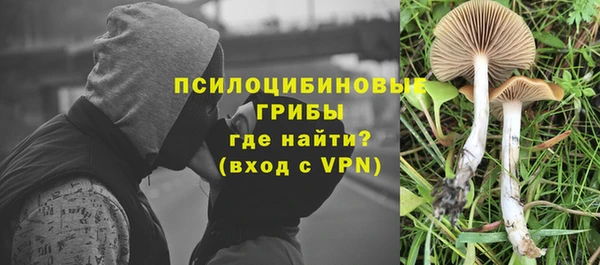 PSILOCYBIN Алзамай
