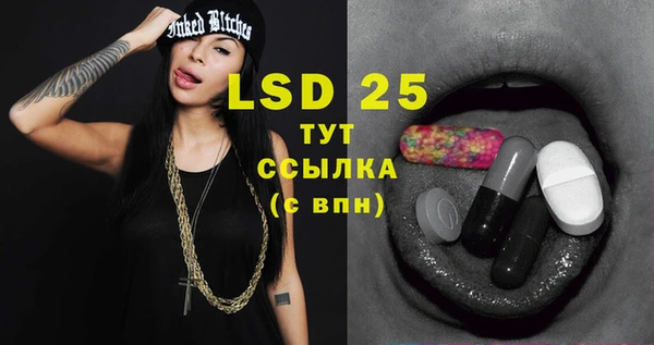 PSILOCYBIN Алзамай