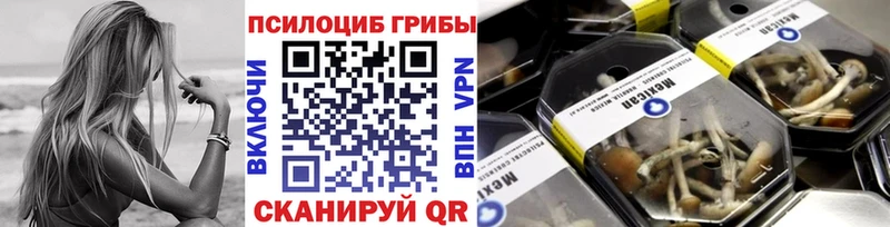 Псилоцибиновые грибы Psilocybe  как найти закладки  Первоуральск 