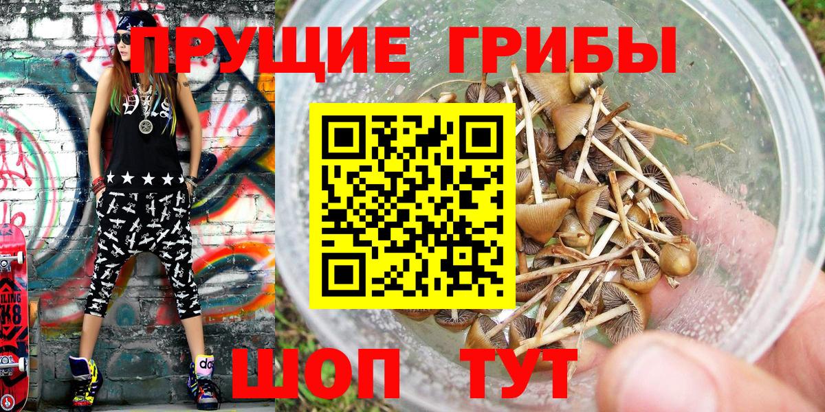 Первоуральск  Галлюциногенные грибы GOLDEN TEACHER  Вход с VPN  Галлюциногенные грибы мухоморы 